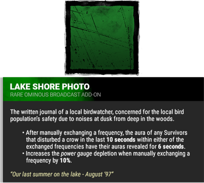 lake shore photo