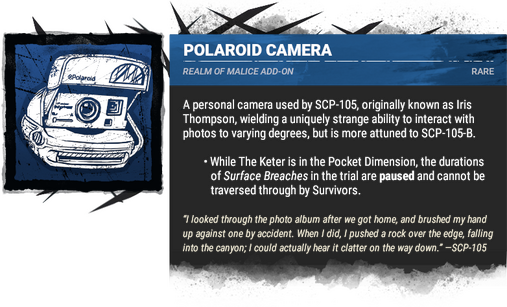 polaroid camera