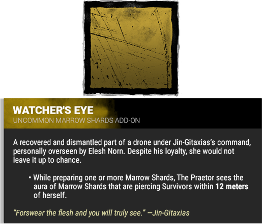 watcher's eye watcher's eye