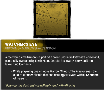 watcher's eye