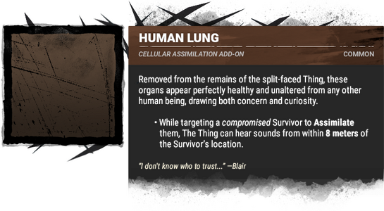 human lung