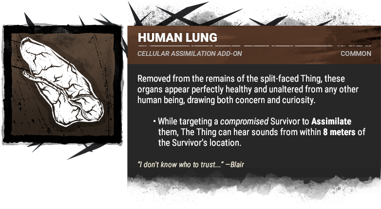 human lung human lung