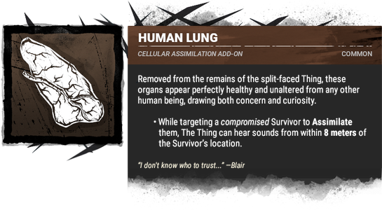 human lung human lung