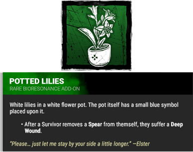 potted lilies