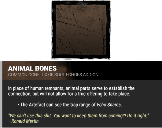animal bones animal bones