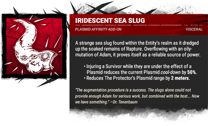 iridescent sea slug iridescent sea slug