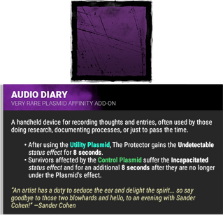 audio diary